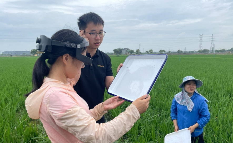 農業ＡＲ眼鏡為智慧植保鍛造“火眼金睛”